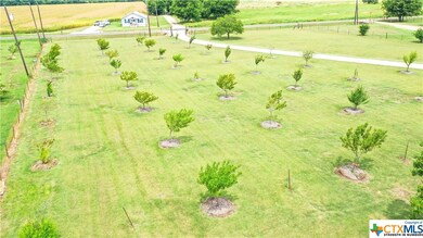 10171 Bottoms Rd, Troy, TX 76579 - photo 5