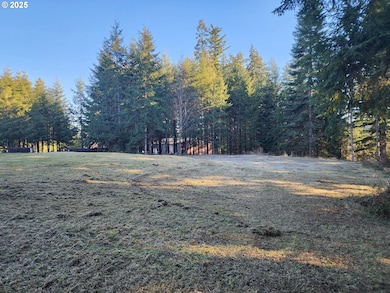 173 Jims View Rd, Castlerock, WA 98611 - photo 3