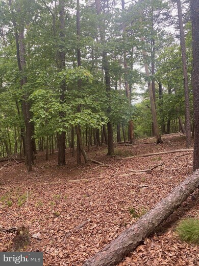 0 Big Sky Ln unit WVMO118606, Berkeley Springs, WV 25411 - photo 3