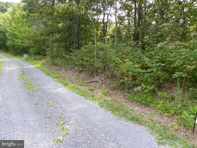 1112 Off I L Pugh Rd, Bloomery, WV 26817 - photo 5