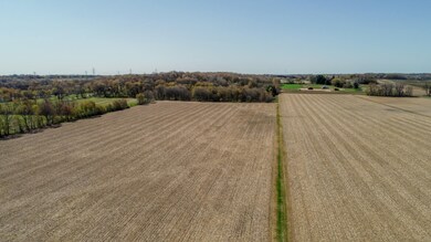 Coloma-133