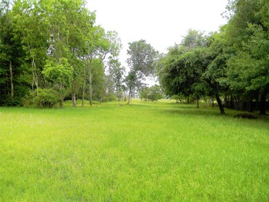 00 A St, Waller, TX 77484 - photo 2