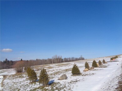 0 Reed Rd unit B1017247, Arcade, NY 14009 - photo 3