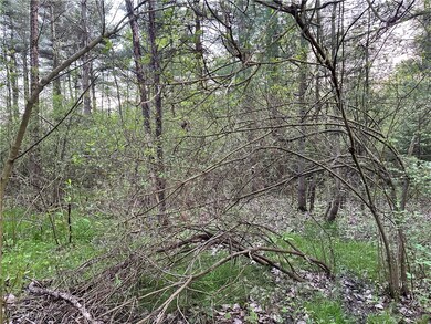 3549 Knowlton Rd, Roaming Shores, OH 44084 - photo 7