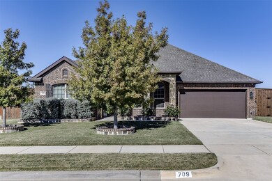 709 Autumn Run Dr, Midlothian, TX 76065 - photo 3