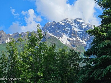 Pioneer Peak View