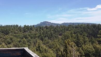 33010 Mora Ln unit 76, Trinidad, CO 81082 - photo 5