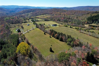 Lot 5.71 John Shultis Rd, Roxbury, NY 12474 - photo 3