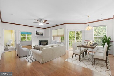 5004 Willow Branch Way, Owings Mills, MD 21117 - photo 3