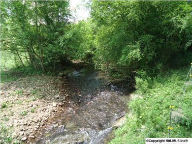 3590 Stella Rd, Prospect, TN 38477 - photo 5