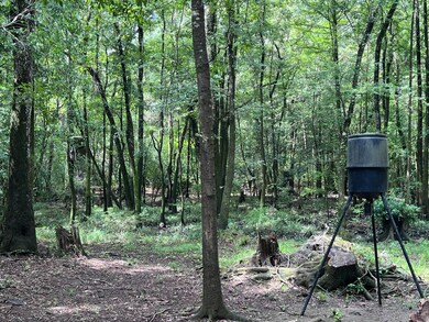 Deer Plot