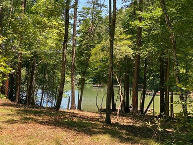 13 & 13A River Trail, Martin, GA 30557 - photo 2