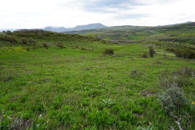 DSC00257