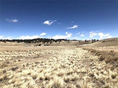 121 Commanche Trail, Hartsel, CO 80449 - photo 2