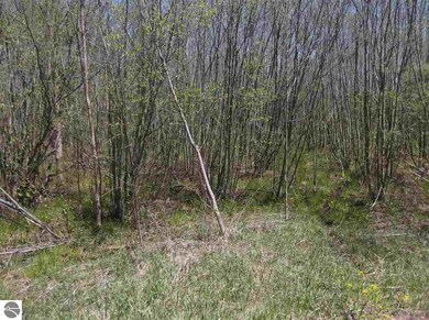 00 Putnam Rd, Hale, MI 48739 - photo 3