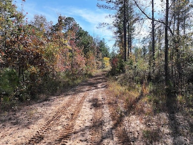 Hugh Gilreath Rd, Woodland, MS 39776 - photo 3