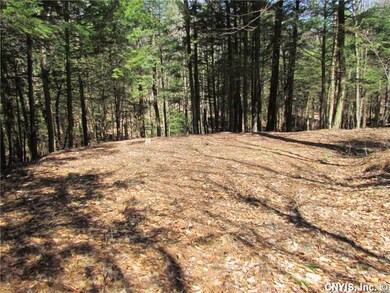 Land. Clearing on lot