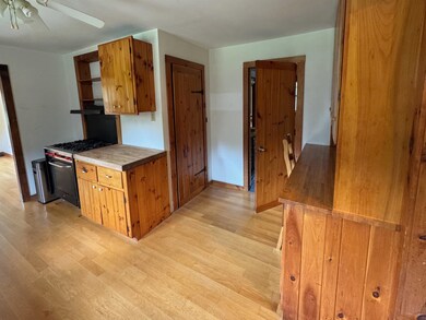 1059 Bailey Hill Rd, Readsboro, VT 05350 - photo 4