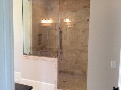 Huge Master Shower