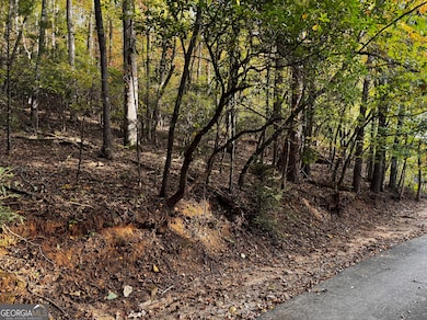 0 Skylake Rd unit 10626637, Sautee Nacoochee, GA 30571 - photo 3