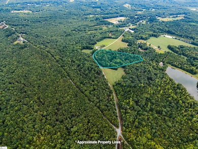 0 S Packs Mountain Rd, Taylors, SC 29687 - photo 5