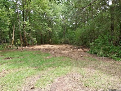 3110 Ramey Dr, Zachary, LA 70791 - photo 4