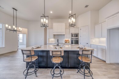 308 Cantle Ct, Weatherford, TX 76088 - photo 4