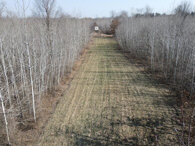 DJI_0053