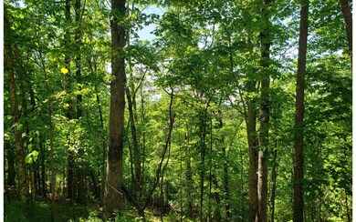 461 Cherokee Ct, Ellijay, GA 30540 - photo 3