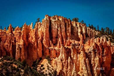 Pink Cliffs (Back Yard)