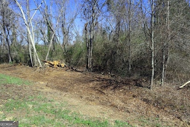Lt.1 Harrison-Davisboro Rd unit 1, Davisboro, GA 31018 - photo 2