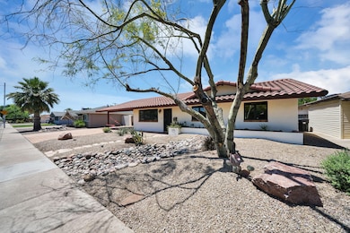 Mature Front Yard Landscape