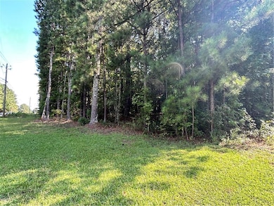 00 Keys Ferry St, McDonough, GA 30253 - photo 5