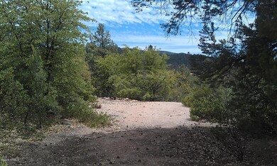 IMAG0280