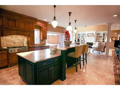 Gourmet Kitchen all new appointed appliances