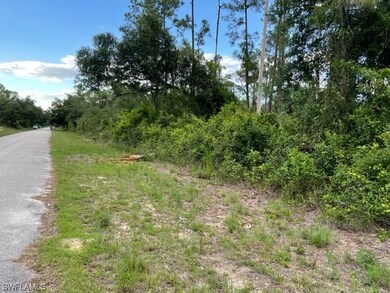 1808 Robert Ave, Lehigh Acres, FL 33972 - photo 5