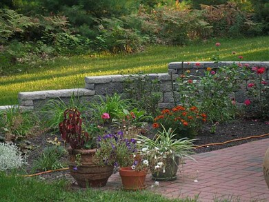 Yard/Garden.