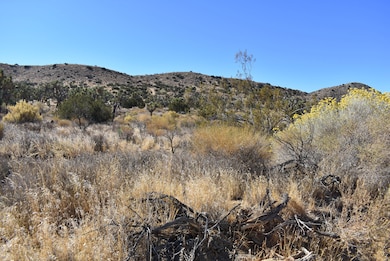 8100 Weber Ranch Rd, Palmdale, CA 93550 - photo 2