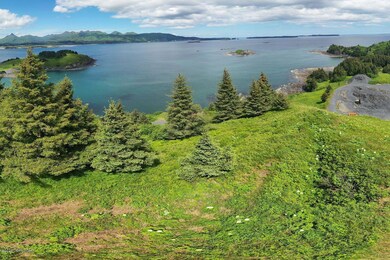 L1 Black Rock-Cliff Point Estates, Kodiak, AK 99615 - photo 6