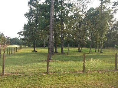 26001 W Lake View Ct, Hockley, TX 77447 - photo 3