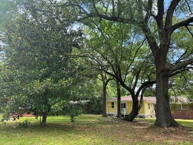 Back yard from fence IMG_1802