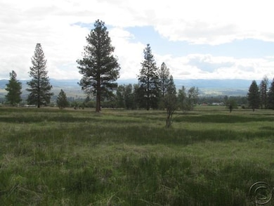 373 Old Bentham Ln, Florence, MT 59833 - photo 6