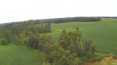 0 Us Hwy 231 unit 202534654, Loogootee, IN 47553 - photo 4