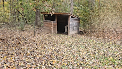 273 Henry Bidwell Rd, Decatur, TN 37322 - photo 3