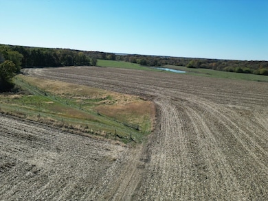 12140 County Loop Rd, Palmyra, IL 62674 - photo 4