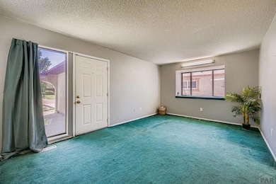 1927 Euclid Ave, Pueblo, CO 81004 - photo 2