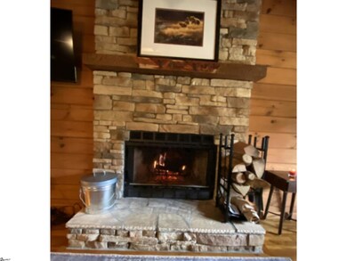 102 Pleasant View Rd, Tamassee, SC 29686 - photo 3