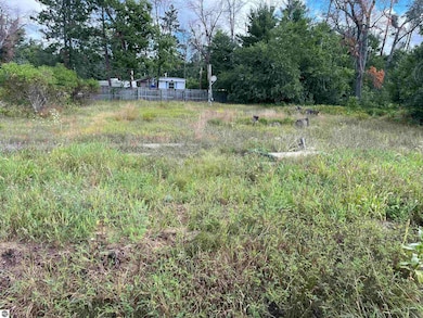 6324 W Pine Point Rd, Grayling Township, MI 49738 - photo 3