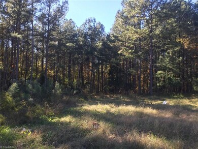 3250 Bethel Lucas Rd, Asheboro, NC 27205 - photo 5