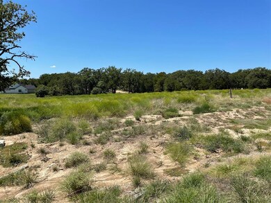 1000 Sky Rd, Weatherford, TX 76087 - photo 3